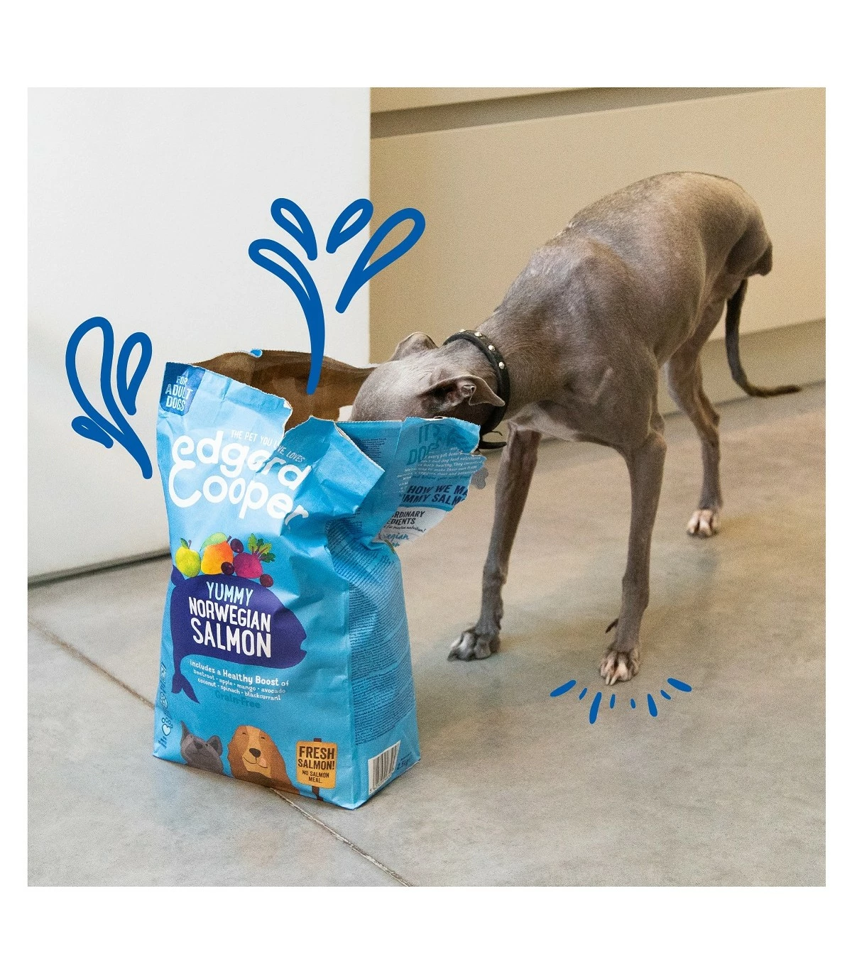 Edgard & Cooper Adult Carne Fresca Di Salmone Norvegese Senza Cereali 2,5 Kg - immagine 3