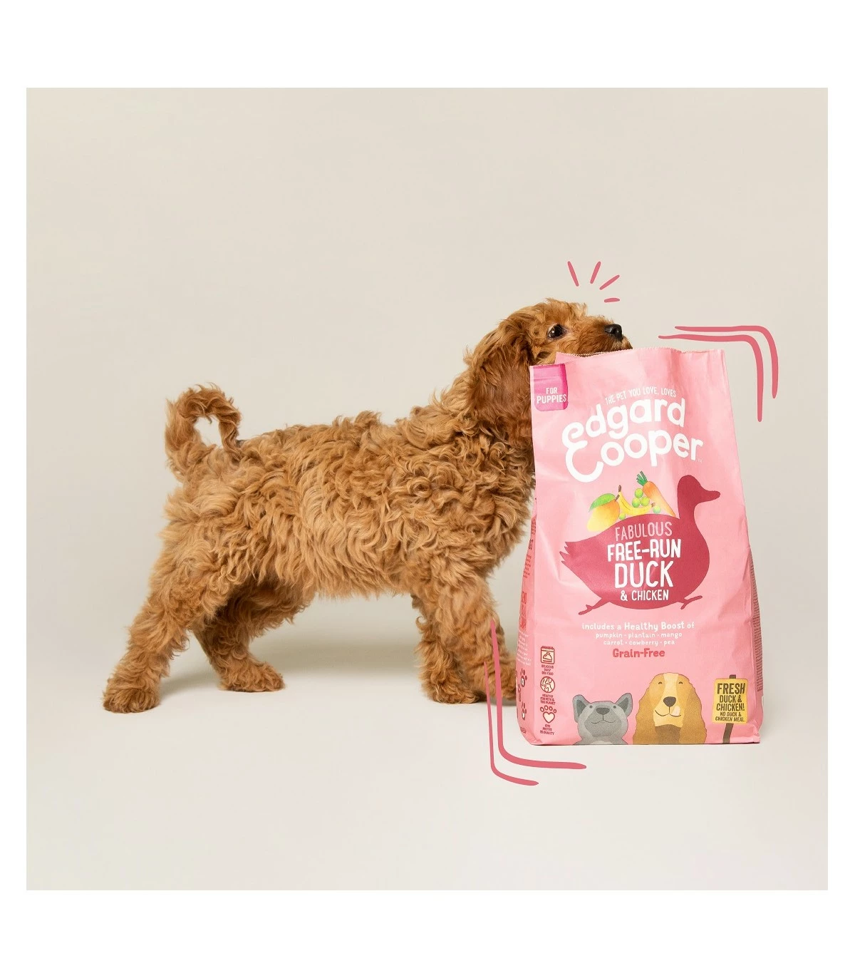 Edgard & Cooper Puppy Carne Fresca Di Anatra E Pollo Allevati A Terra Senza Cereali 12 Kg - immagine 9