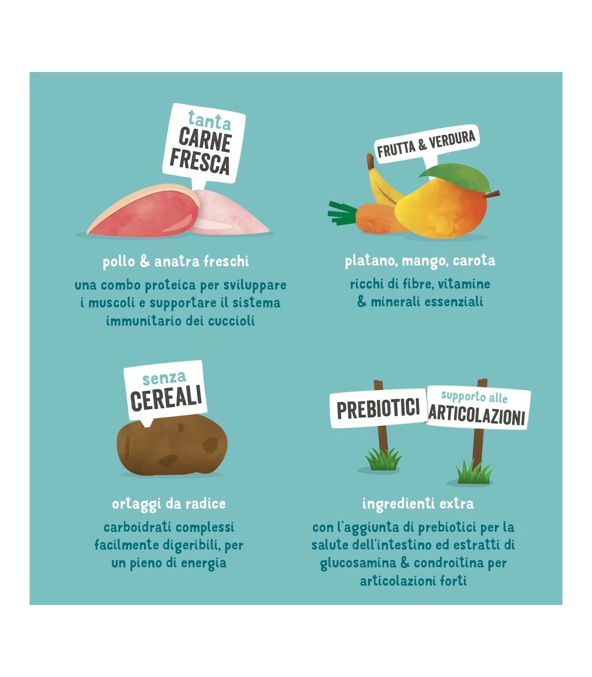 Edgard & Cooper Puppy Carne Fresca Di Anatra E Pollo Allevati A Terra Senza Cereali 7 Kg - immagine 7