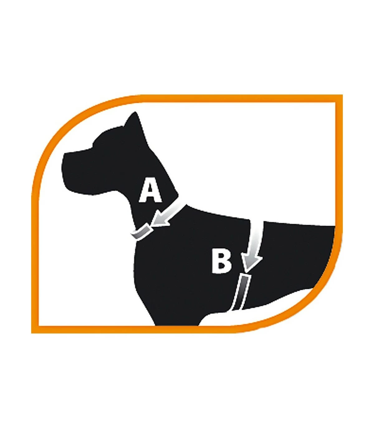 Ferplast Champion P Large Blu Pettorina - immagine 2