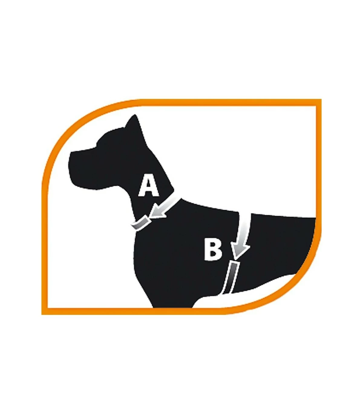 Ferplast Jogging Large Pettorina Con Guinzaglio - immagine 3