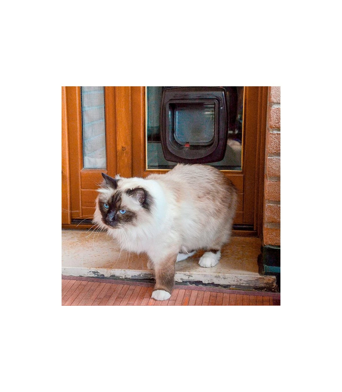 Ferplast Swing Microchip Bianco - immagine 3