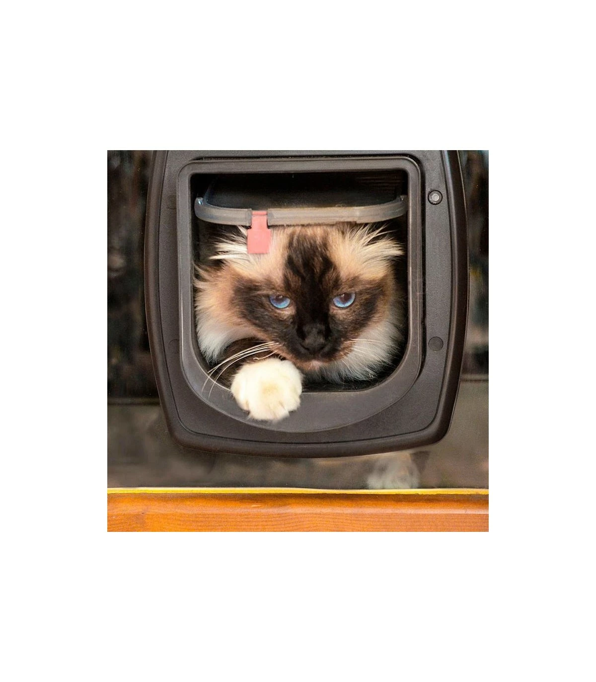 Ferplast Swing Microchip Bianco - immagine 4